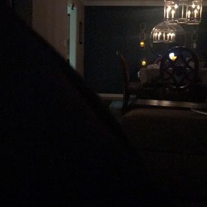 Meet your Posher, Dina